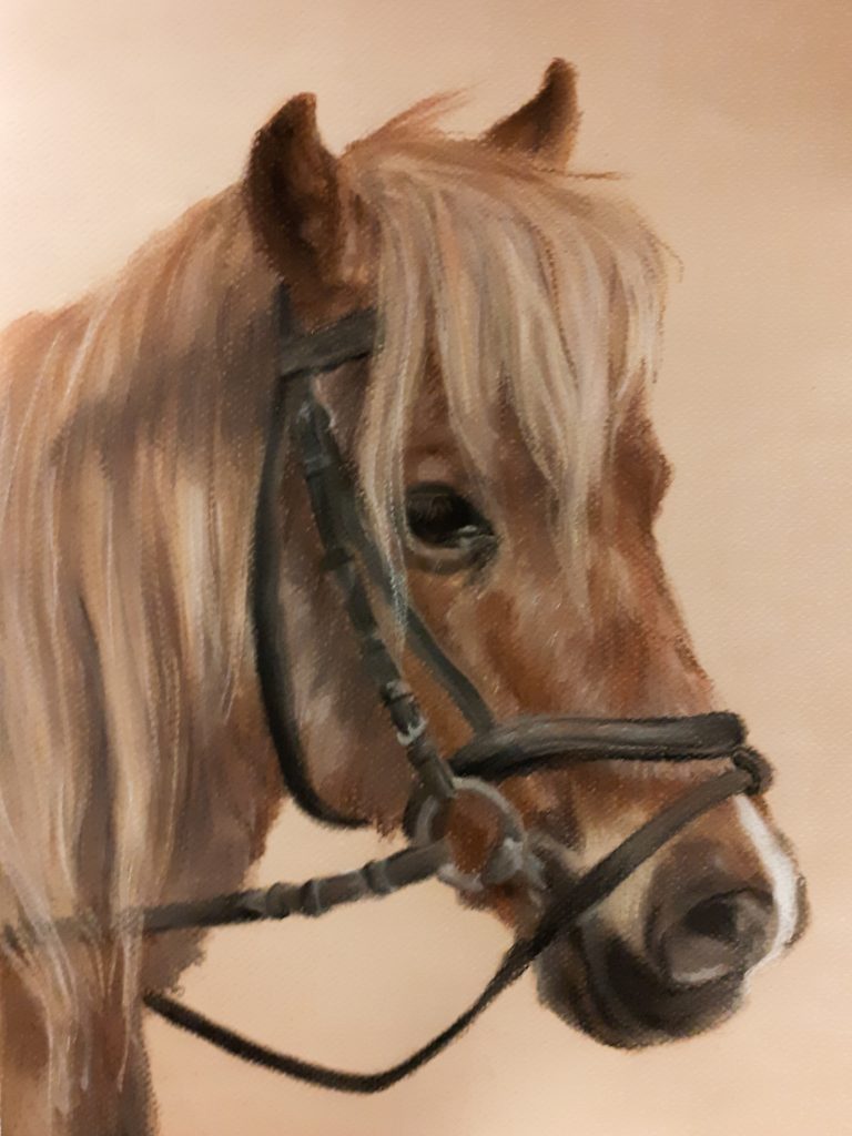 Pastel tekening van een pony op lichte achtergrond.