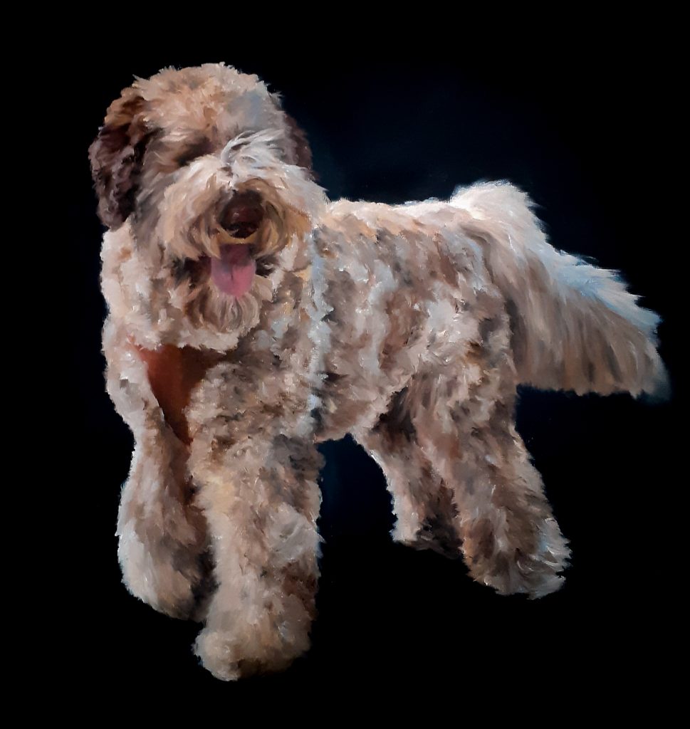 Olieverf schilderij van een labradoodle hond.