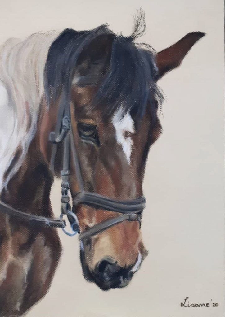 Pastel tekening van een bont paard op lichte achtergrond.