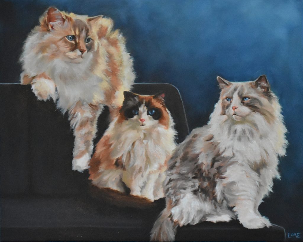 Schilderij van drie ragdoll katten op een bank